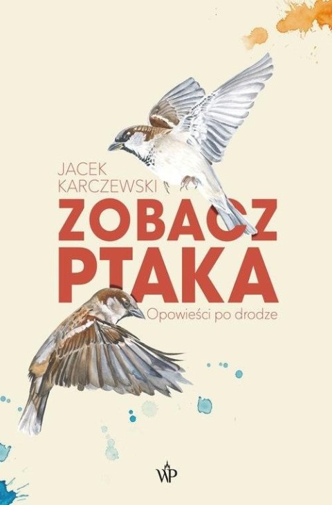 Zobacz ptaka w.2 Zobacz ptaka w.2