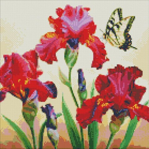 Diamentowa mozaika - Wytworne irysy 40x40cm Diamentowa mozaika - Wytworne irysy 40x40cm