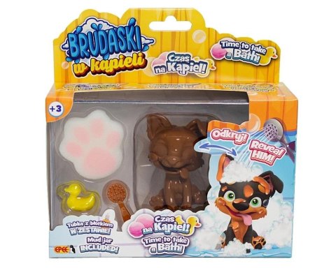 Brudaski w kąpieli piesek Corgi biało-żółty Brudaski w kąpieli piesek Corgi biało-żółty
