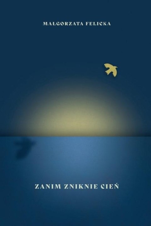 Zanim zniknie cień Zanim zniknie cień
