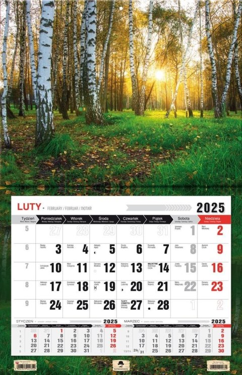 Kalendarz 2025 jednodzielny 3XL Las Kalendarz 2025 jednodzielny 3XL Las