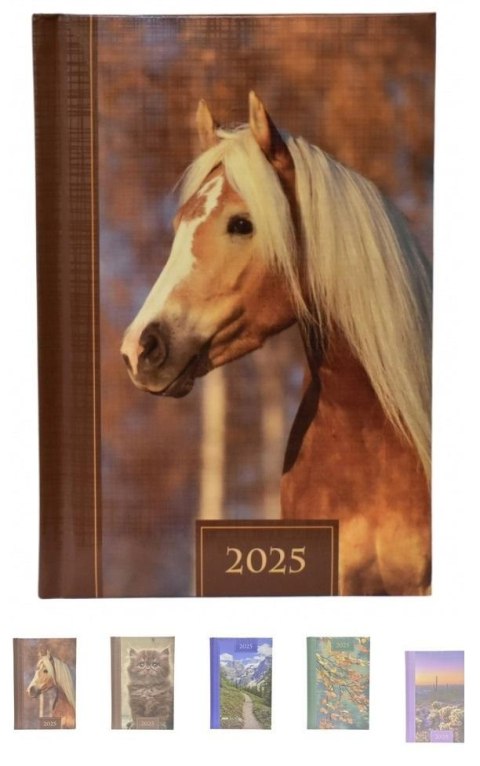 Terminarz 2025 dzienny B6 Prismalux MIX Terminarz 2025 dzienny B6 Prismalux MIX