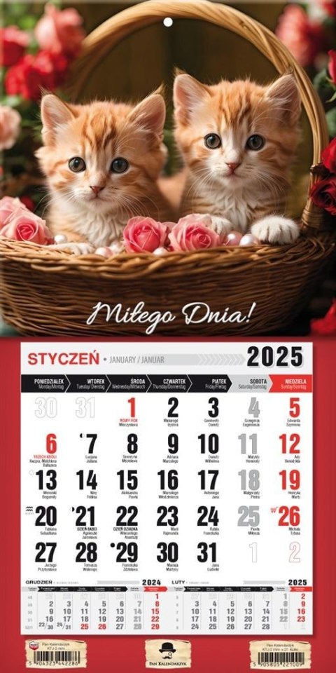 Kalendarz 2025 jednodzielny mini z mag. Kotki Kalendarz 2025 jednodzielny mini z mag. Kotki
