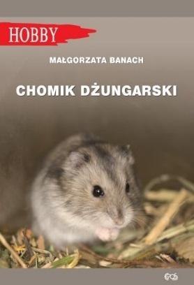 Chomik Dżungarski Chomik Dżungarski