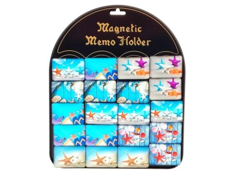 Magnesy rozgwiazdy 5,1x3,5cm MIX Magnesy rozgwiazdy 5,1x3,5cm MIX