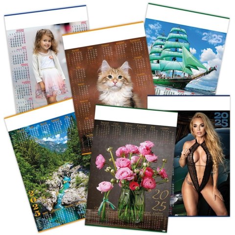 Kalendarz 2025 plakatowy MIX (20szt) Kalendarz 2025 plakatowy MIX (20szt)