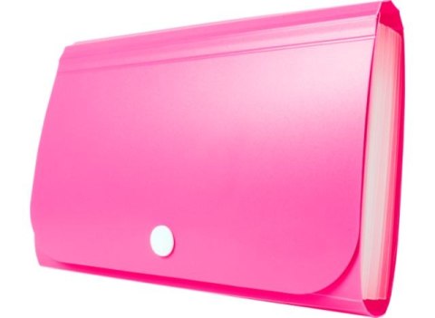 Teczka - Mini organizer harmonijkowy PP TETIS różowy Teczka - Mini organizer harmonijkowy PP TETIS różowy