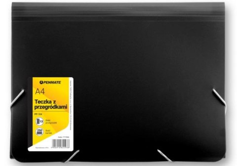 Teczka z 13-ma przegródkami PENMATE A4 PP-104 - czarna Teczka z 13-ma przegródkami PENMATE A4 PP-104 - czarna