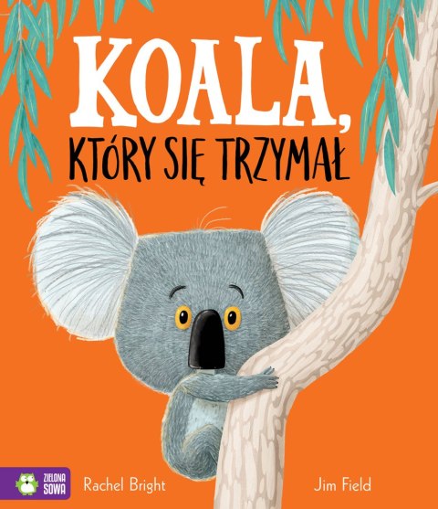 Koala, który się trzymał Koala, który się trzymał