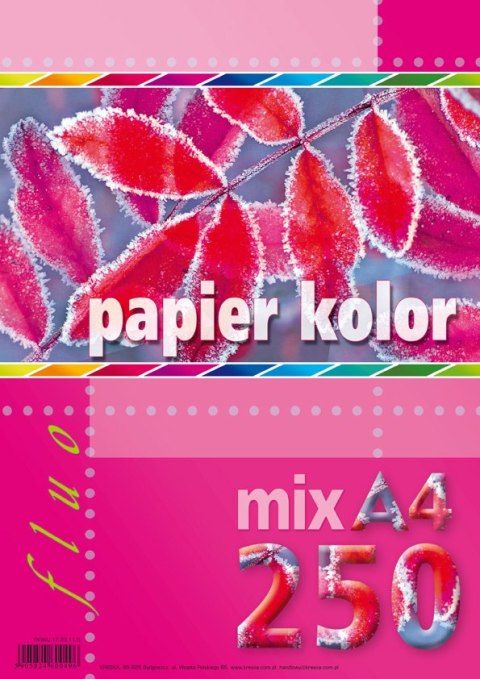 Papier ksero kolorowy A4 250k. KRESKA mix fluo Papier ksero kolorowy A4 250k. KRESKA mix fluo