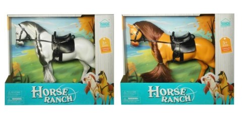 Konik MIX Konik MIX