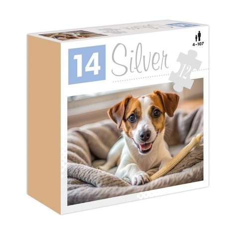 Puzzle 12 Pies Silver ALEX Puzzle 12 Pies Silver ALEX