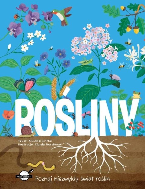 Rośliny Rośliny