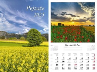 Kalendarz 2025 ścienny Pejzaże