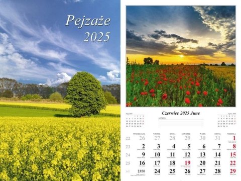 Kalendarz 2025 ścienny Pejzaże Kalendarz 2025 ścienny Pejzaże