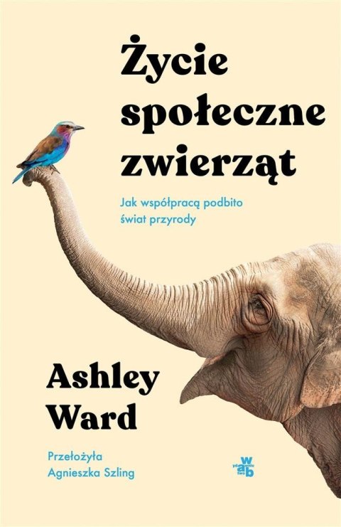 Życie społeczne zwierząt Życie społeczne zwierząt