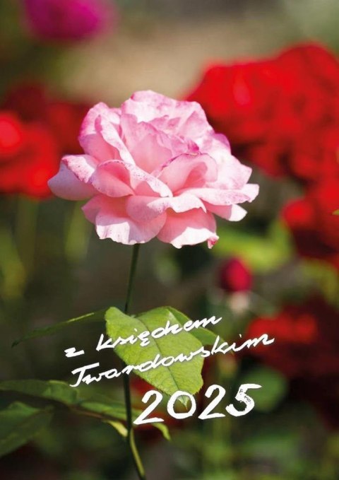 Kalendarz 2025 z ks. Twardowskim - róża Kalendarz 2025 z ks. Twardowskim - róża