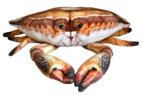 Krab 31cm Krab 31cm