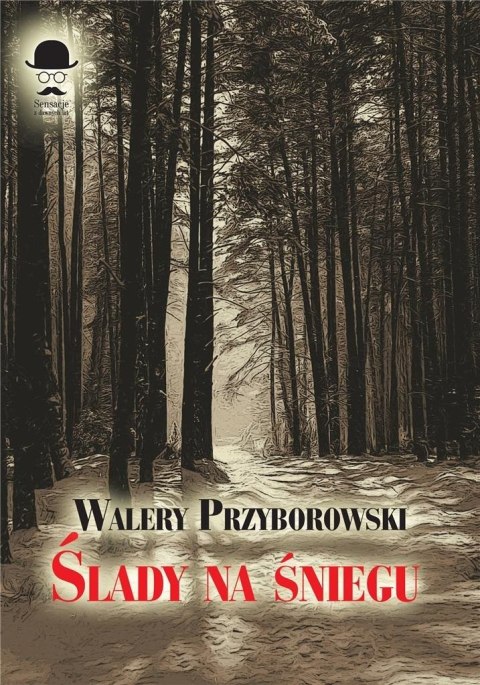 Ślady na śniegu Ślady na śniegu