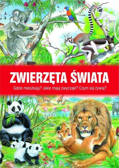 Zwierzęta świata Zwierzęta świata