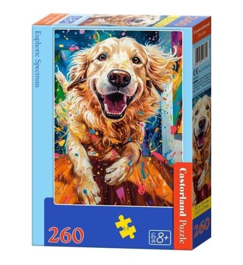 Puzzle 260 Euphoric Spectrum CASTOR Puzzle 260 Euphoric Spectrum CASTOR