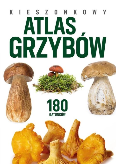 Kieszonkowy atlas grzybów Kieszonkowy atlas grzybów