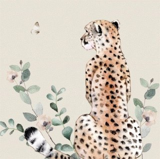 Karnet Swarovski kwadrat CL4709 Gepard