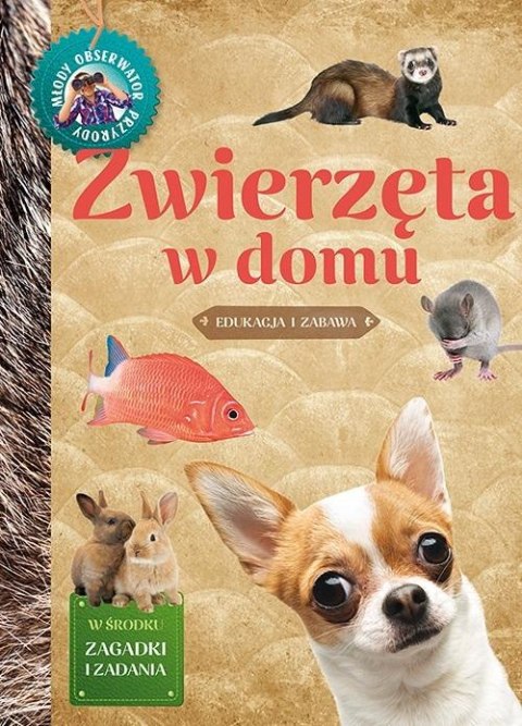Młody Obserwator Przyrody - Zwierzęta w domu Młody Obserwator Przyrody - Zwierzęta w domu