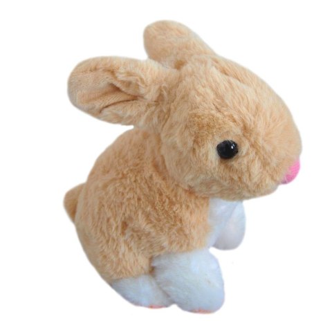 Królik pluszowy 16cm Królik pluszowy 16cm