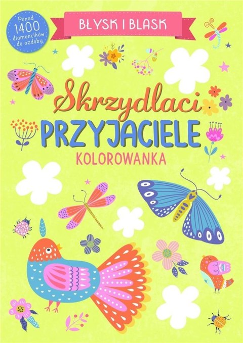 Błysk i blask. Skrzydlaci przyjaciele Błysk i blask. Skrzydlaci przyjaciele