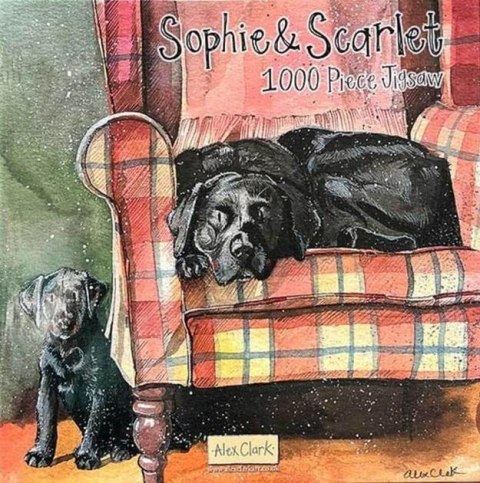 Puzzle 1000 J08 Psy Sophie&Scarlett Puzzle 1000 J08 Psy Sophie&Scarlett
