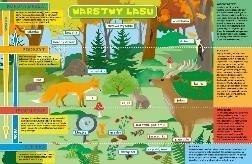 Podkładka na biurko - Warstwy lasu i łąka Podkładka na biurko - Warstwy lasu i łąka
