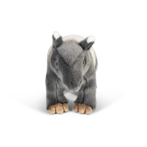 Tapir Tapir