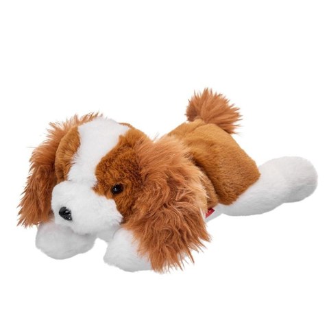 Cavalier leżący 35cm Cavalier leżący 35cm
