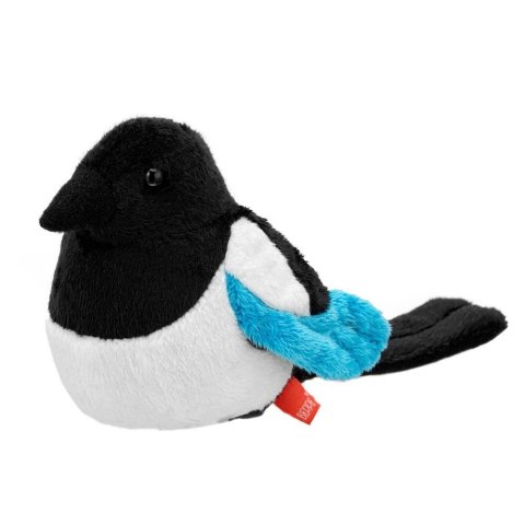 Sroka zwyczajna 13cm Sroka zwyczajna 13cm