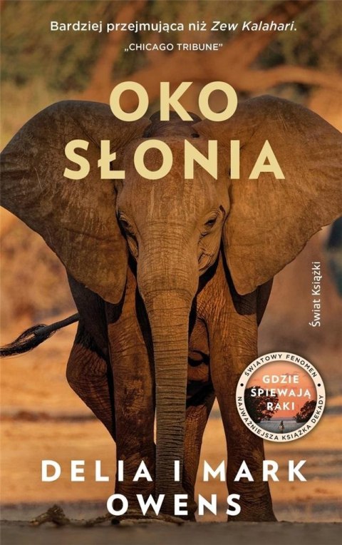 Oko słonia Oko słonia