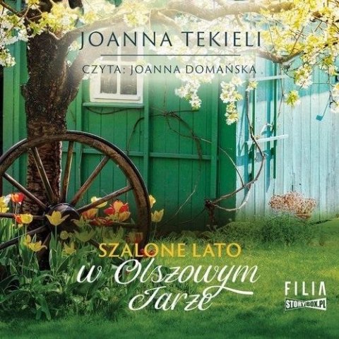 Szalone lato w Olszowym Jarze audiobook Szalone lato w Olszowym Jarze audiobook