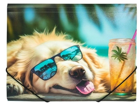 Teczka A4 PP z nadrukiem Chillout Dog Teczka A4 PP z nadrukiem Chillout Dog