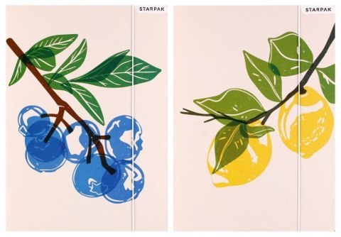 Teczka z gumką A4 Fruits Teczka z gumką A4 Fruits