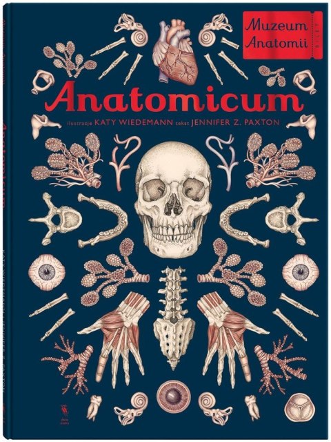 W Muzeum. Anatomicum. Muzeum Anatomii W Muzeum. Anatomicum. Muzeum Anatomii
