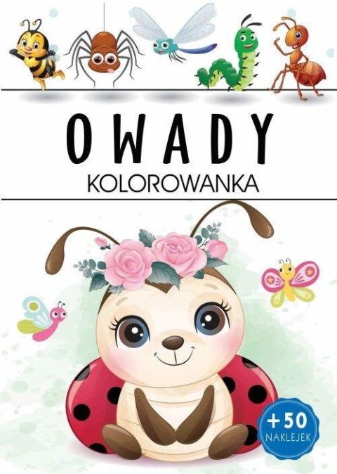 Owady. Kolorowanka Owady. Kolorowanka