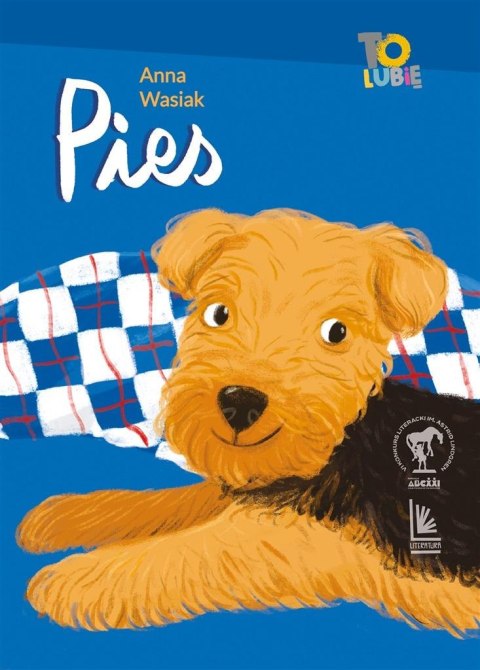 Pies Pies