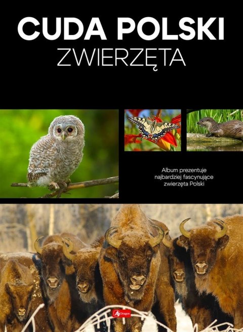 Cuda Polski. Zwierzęta Cuda Polski. Zwierzęta