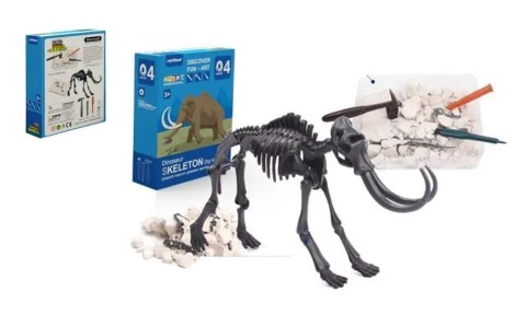 Wykopaliska dinozaury szkielet T-Rex Wykopaliska dinozaury szkielet T-Rex