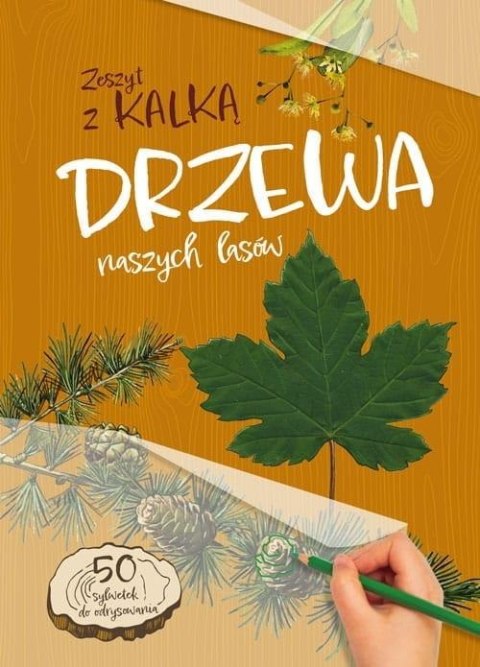 Drzewa naszych lasów. Zeszyt z kalką Drzewa naszych lasów. Zeszyt z kalką
