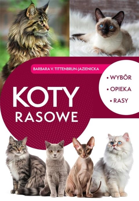 Koty rasowe Koty rasowe