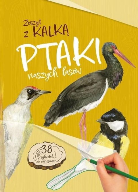 Ptaki naszych lasów. Zeszyt z kalką Ptaki naszych lasów. Zeszyt z kalką