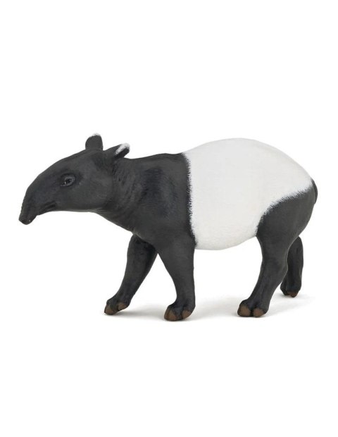 Tapir Tapir