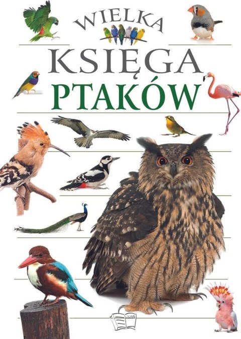 Wielka Księga Ptaków Wielka Księga Ptaków