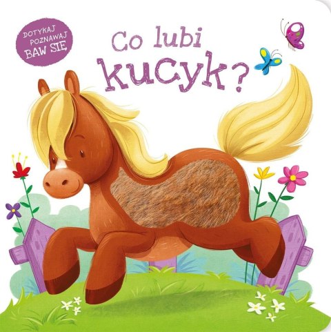 Co lubi kucyk? Co lubi kucyk?